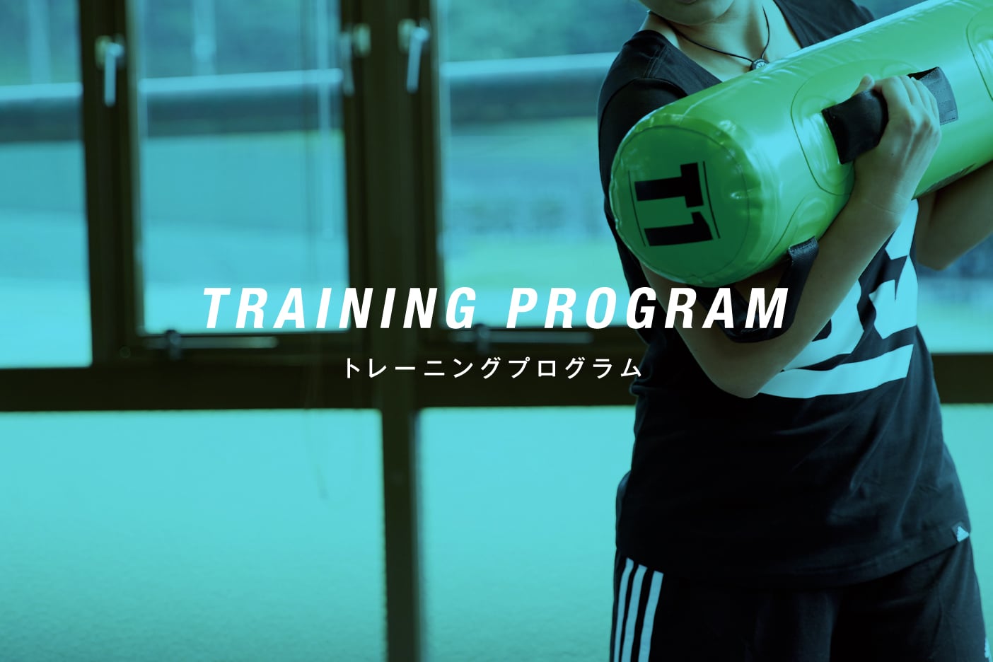 トレーニングプログラム